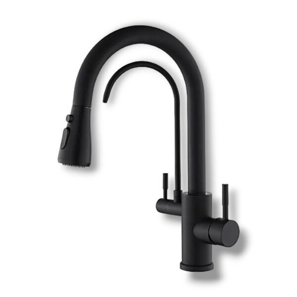 2 in 1 Kitchen Faucet Kit-Matte Black